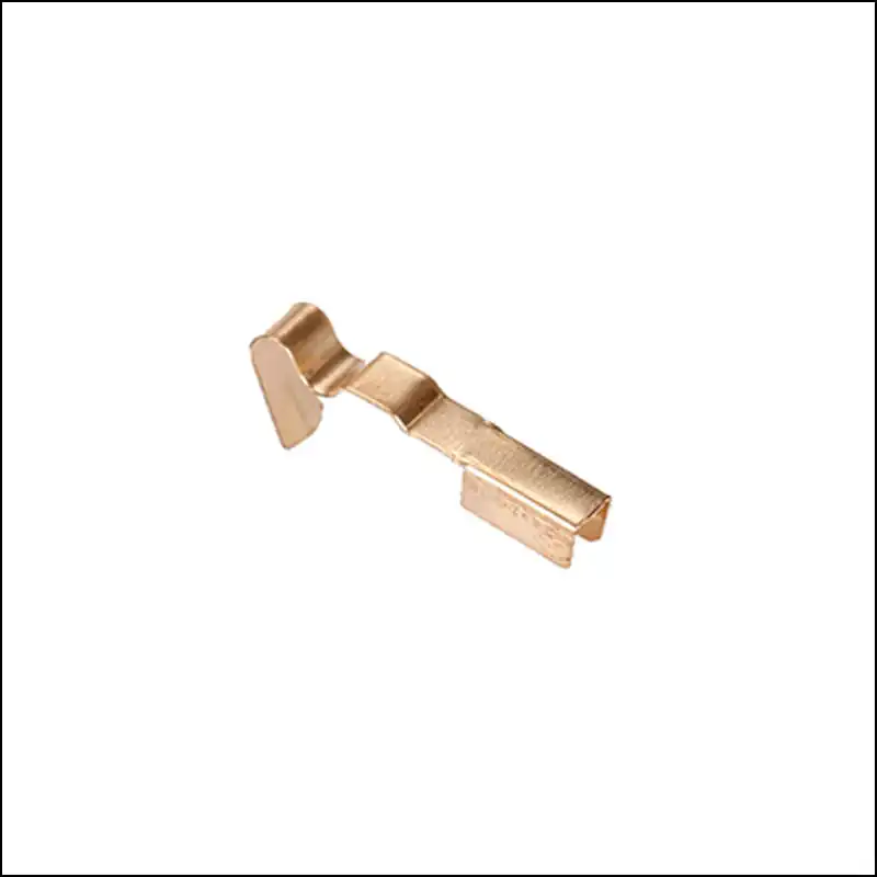 Beryllium Copper Stamping