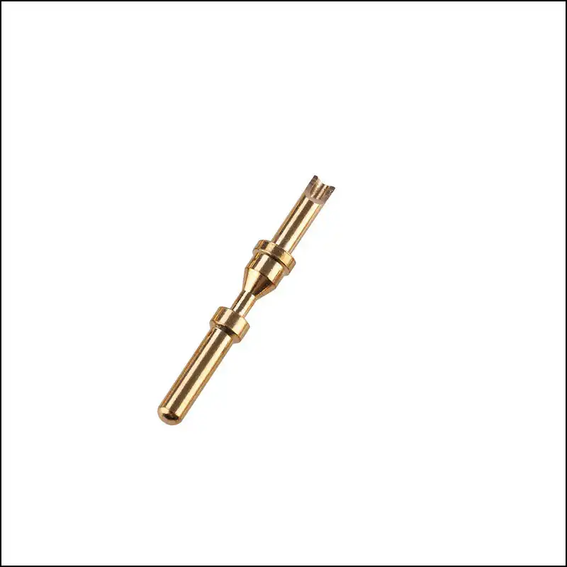 Terminal And Pin